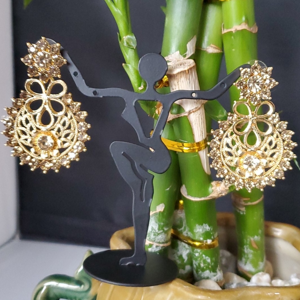 Fancy Earring